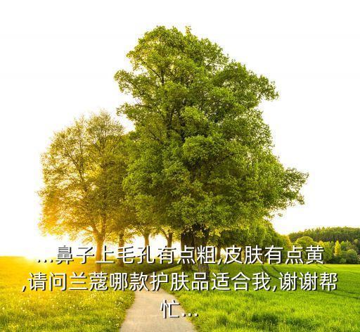 兰蔻臻白洁面乳效果怎么样,兰蔻极光洁面乳效果如何