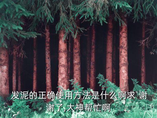  发泥的正确使用方法是什么啊求`谢谢了,大神帮忙啊