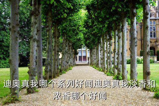 金色瓶身香水是什么牌子,格子瓶的香水是什么牌子？