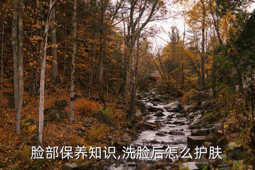脸部保养知识,洗脸后怎么护肤