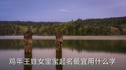 鸡年王姓女宝宝起名最宜用什么字