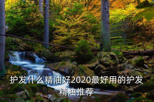 护发什么精油好2020最好用的护发精油推荐