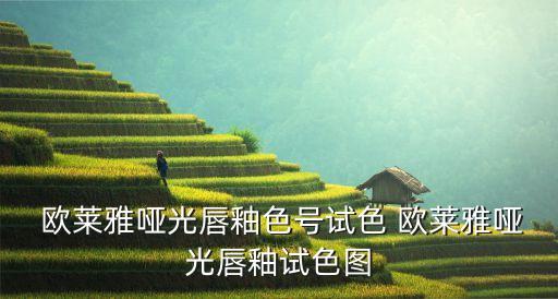  欧莱雅哑光唇釉色号试色 欧莱雅哑光唇釉试色图