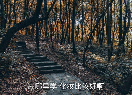 去哪里学 化妆比较好啊