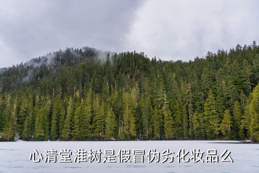  心清堂淮树是假冒伪劣化妆品么