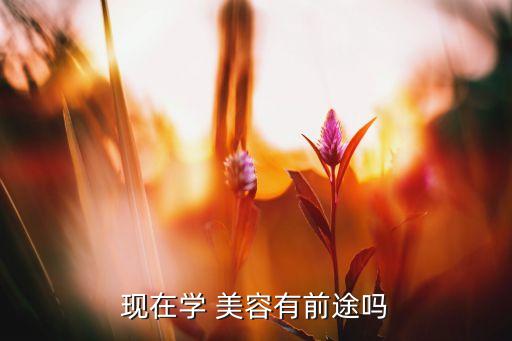 2017学美容开店怎么样,学美容自己开店怎么样