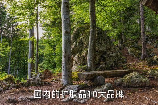 国内的护肤品10大品牌