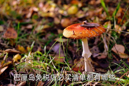 巴厘岛免税店必买清单都有哪些