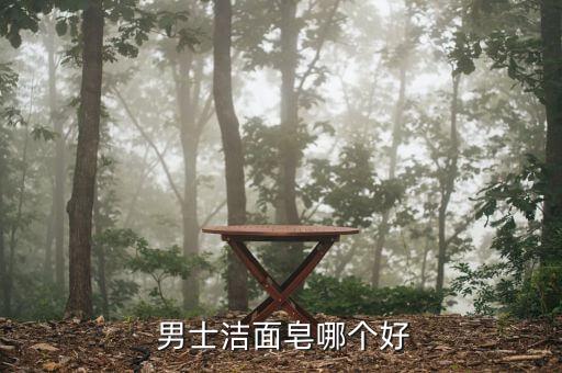  男士洁面皂哪个好