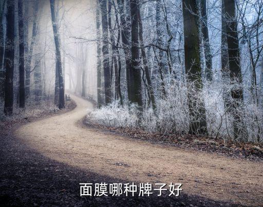 面膜哪种牌子好