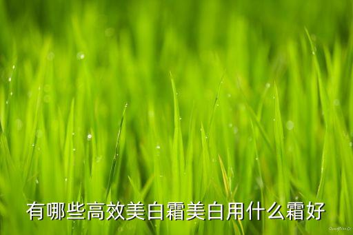 嘉娜宝印象之美怎么样