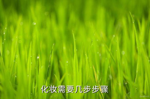 化妆需要几步步骤