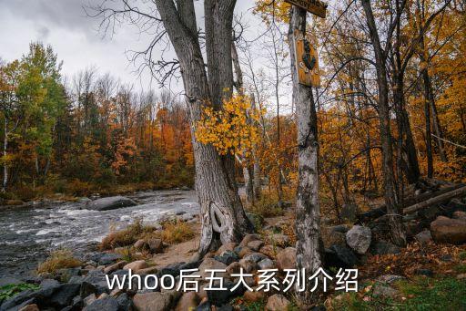 whoo后五大系列介绍