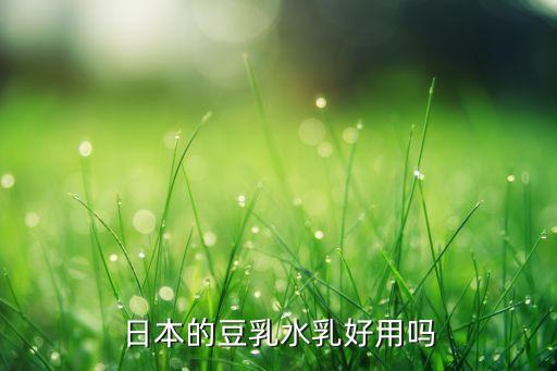 日本的豆乳水乳好用吗