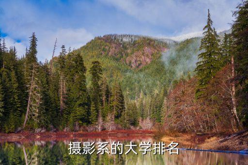 摄影系的大学排名