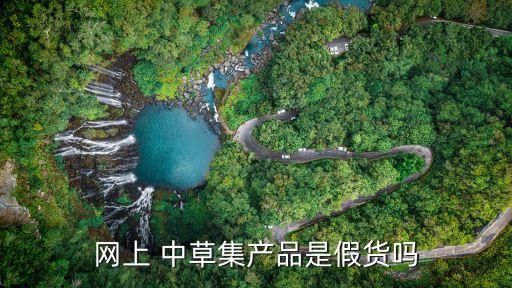 网上 中草集产品是假货吗