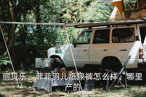 丽贝乐、菲菲羽儿纸尿裤怎么样、哪里产的