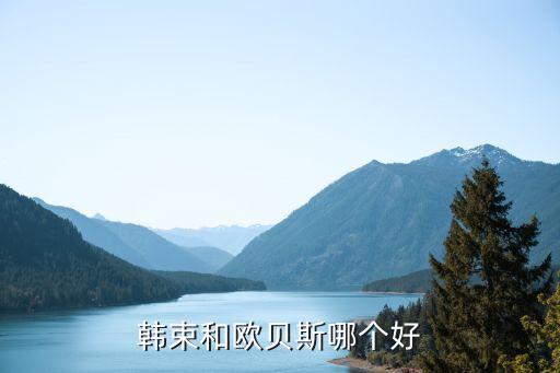 韩束和欧贝斯哪个好