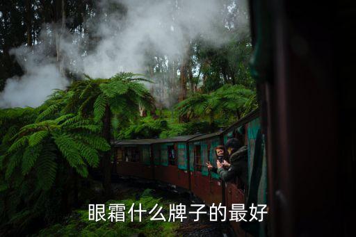 奥杰尼哪个眼霜好用,什么眼霜最好用?十大知名品牌逐个看