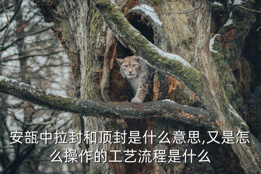 ?ㄠ?瓶的头怎么安装,剃须刀头怎么安装