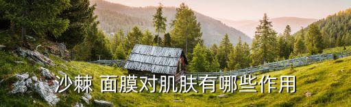 沙棘 面膜对肌肤有哪些作用