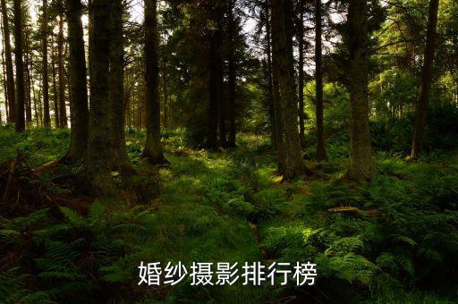 婚纱摄影排行榜
