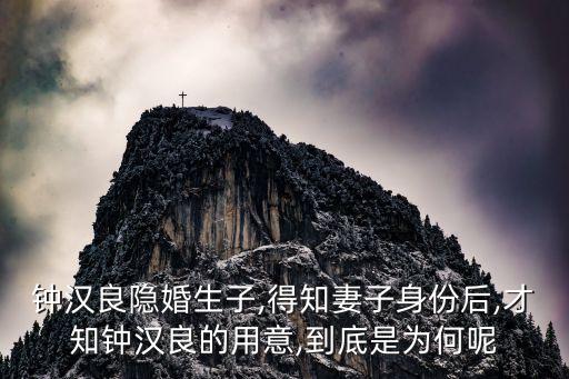 钟汉良隐婚生子,得知妻子身份后,才知钟汉良的用意,到底是为何呢