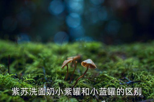紫苏洗面奶小紫罐和小蓝罐的区别