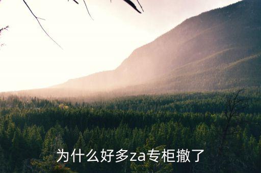 为什么好多za专柜撤了