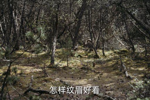怎样纹眉好看