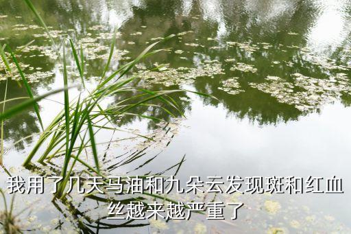 我用了几天马油和九朵云发现斑和红血丝越来越严重了