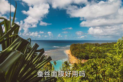 蚕丝面膜好用吗