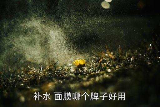 补水 面膜哪个牌子好用