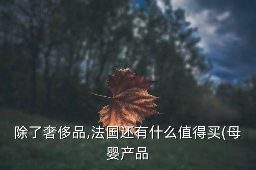 除了奢侈品,法国还有什么值得买(母婴产品