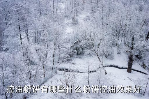 控油粉饼有哪些什么粉饼控油效果好