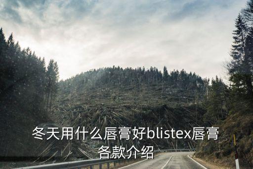 冬天用什么唇膏好blistex唇膏各款介绍