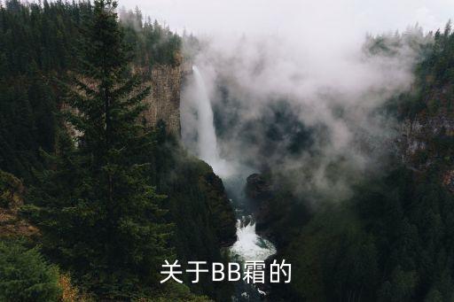 爱丽的bb霜遮瑕效果怎么样
