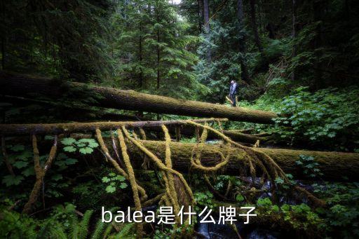 balea是什么牌子