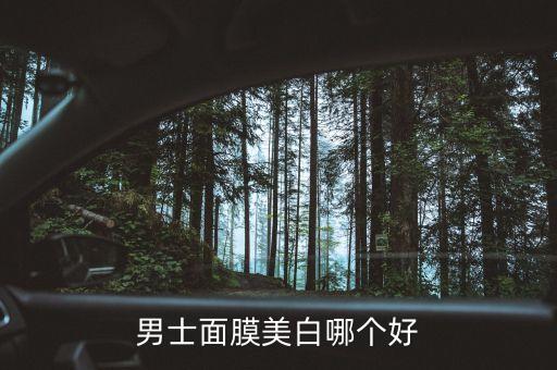男士面膜美白哪个好