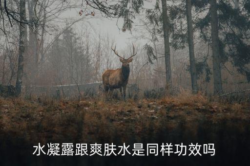 水凝露跟爽肤水是同样功效吗
