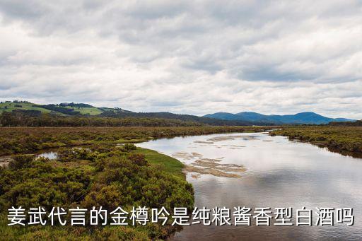 呤酿是什么意思,酿酿锵锵是什么意思