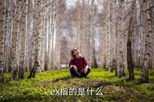 ex指的是什么