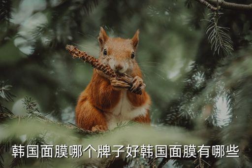 韩国面膜哪个牌子好韩国面膜有哪些
