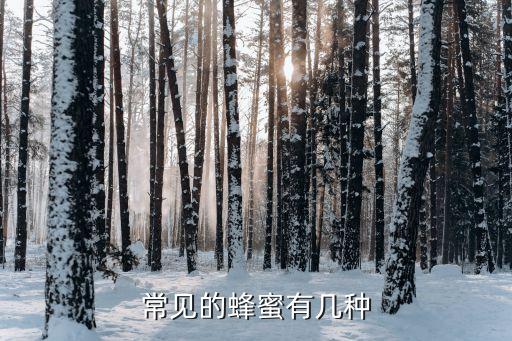 常见的蜂蜜有几种