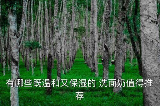 生活加芬洗面奶怎么样,女皇生活小黄瓜洗面奶怎么样