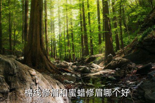 棉线修眉和蜜蜡修眉哪个好