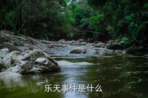 乐天事件是什么