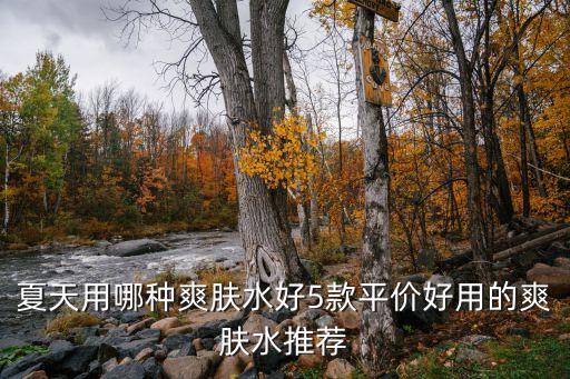 流金岁月喝的什么牌的水