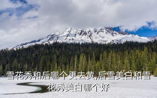 后 雪和水 哪个好用吗