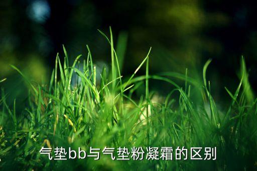 气垫bb与气垫粉凝霜的区别